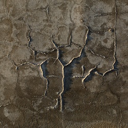 dailyPhoto37